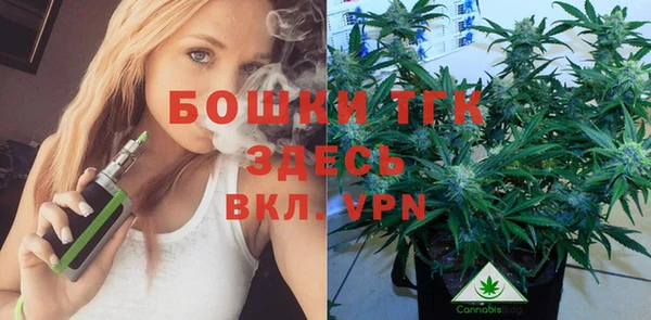 индика Арсеньев