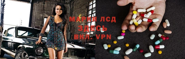 PSILOCYBIN Баксан
